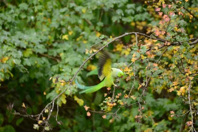 DSC_0494 (Large).JPG